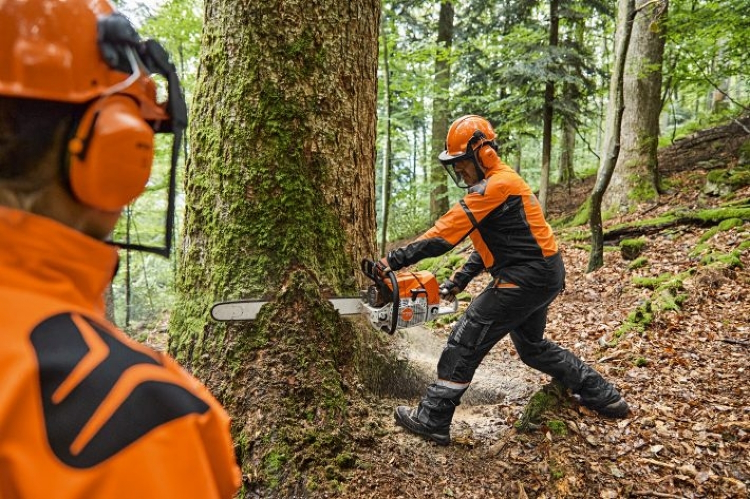 tronçonneuse thermique stihl ms 881 tronçonneuse thermique stihl ms 881