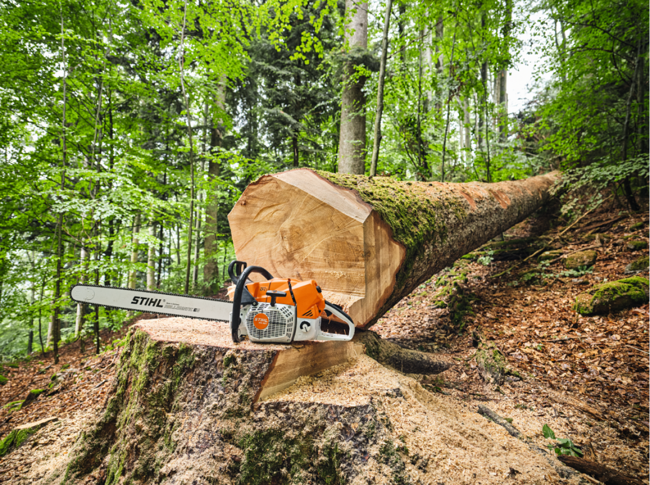 tronçonneuse thermique stihl ms 881 tronçonneuse thermique stihl ms 881